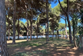 Arcos de la Frontera 9000&nbsp;m² 