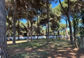 Rural estate for sale in Arcos de la Frontera ref: TR396180 photo