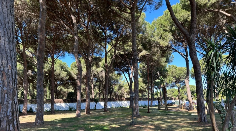 Cadiz - Arcos de la Frontera - 9000m2