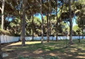 Rural estate for sale in Arcos de la Frontera ref: TR396180 photo