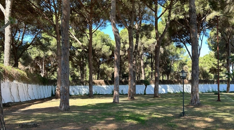 Cadiz - Arcos de la Frontera - 9000m2