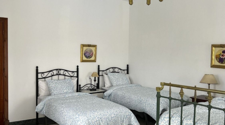 Cadiz - Arcos de la Frontera - 9000m2