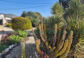 Detached villa with land for sale in Ontinyent ref: TR396178 photo
