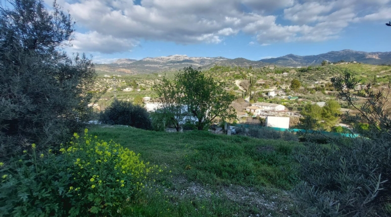 Jaén - Кесада - 2000m2