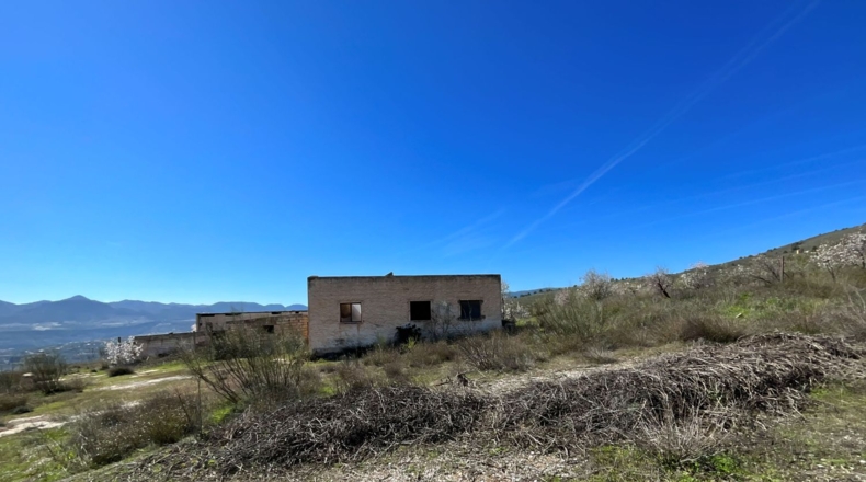 Granada - Murchas - 49000m2