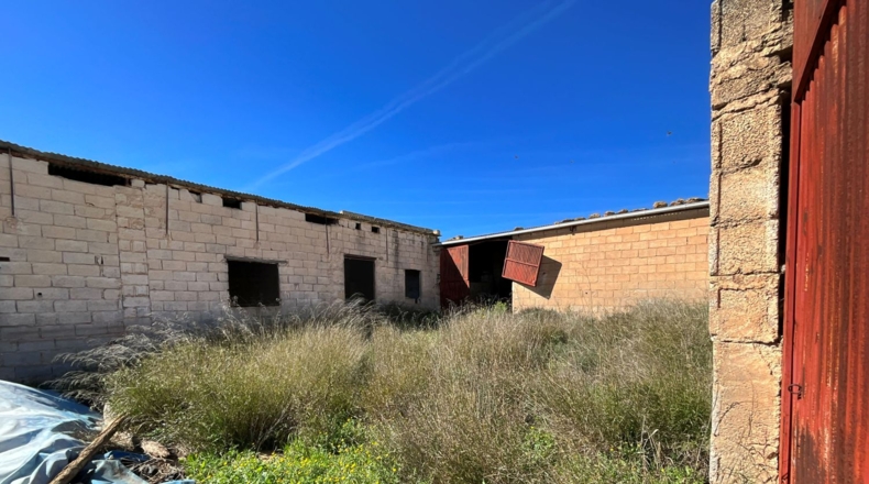 Granada - Murchas - 49000m2