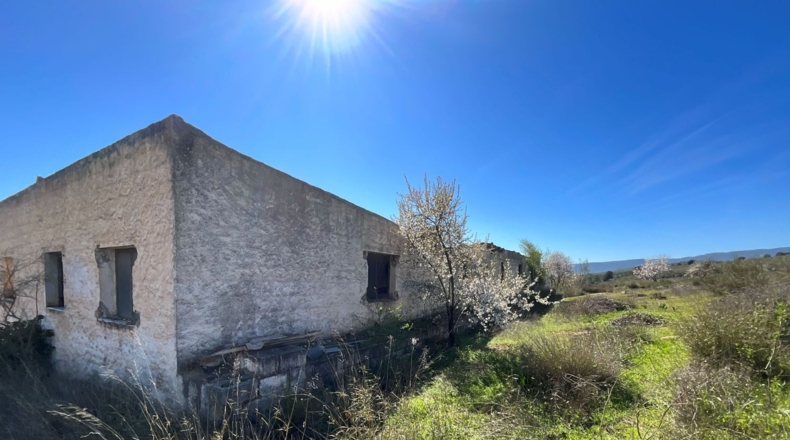 Granada - Murchas - 49000m2