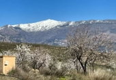 Non-developable land for sale in Pinos del Valle ref: TR396111 photo