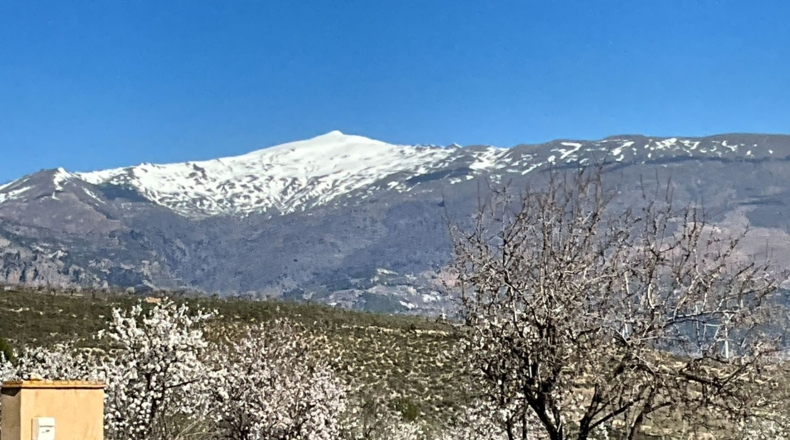 Granada - Murchas - 49000m2