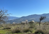 Non-developable land for sale in Pinos del Valle ref: TR396111 photo