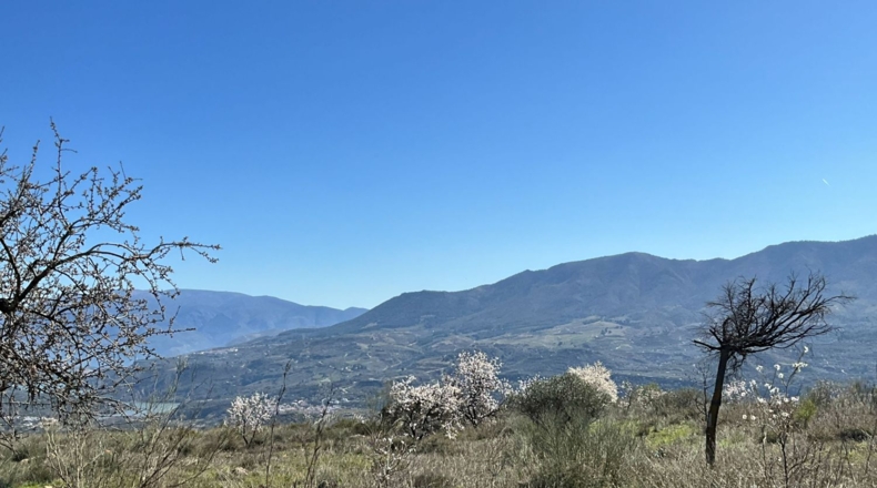 Granada - Murchas - 49000m2