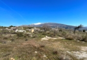 Non-developable land for sale in Pinos del Valle ref: TR396111 photo