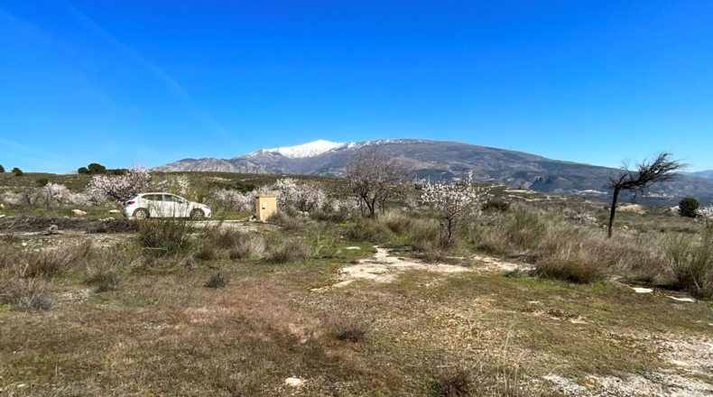Granada - Murchas - 49000m2