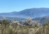 Non-developable land for sale in Pinos del Valle ref: TR396111 photo