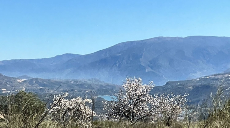 Granada - Murchas - 49000m2