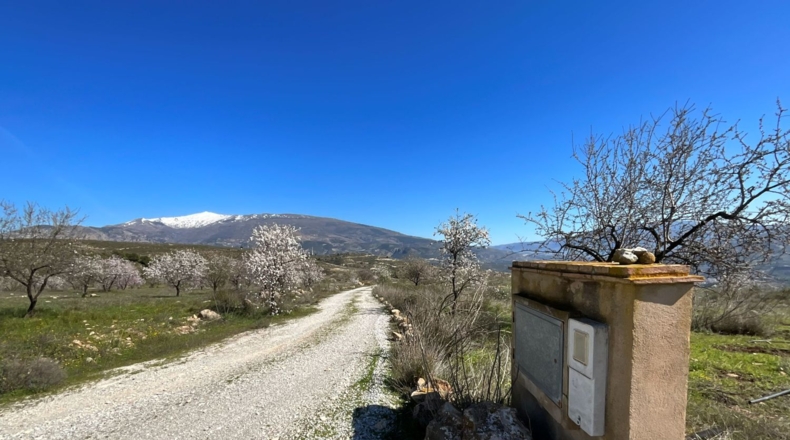 Granada - Murchas - 49000m2