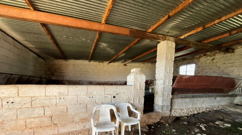 Granada - Murchas - 49000m2