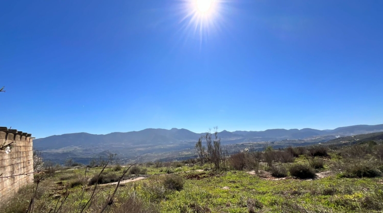 Granada - Murchas - 49000m2
