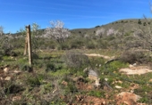 Non-developable land for sale in Pinos del Valle ref: TR396111 photo