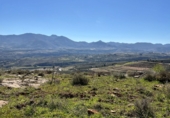 Non-developable land for sale in Pinos del Valle ref: TR396111 photo