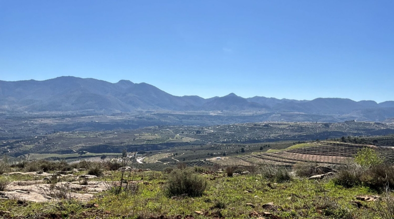 Granada - Murchas - 49000m2