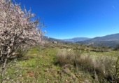Non-developable land for sale in Pinos del Valle ref: TR396111 photo