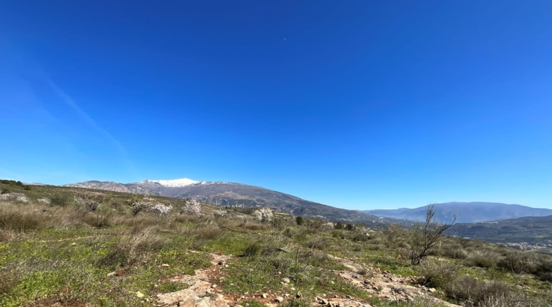 Granada - Murchas - 49000m2