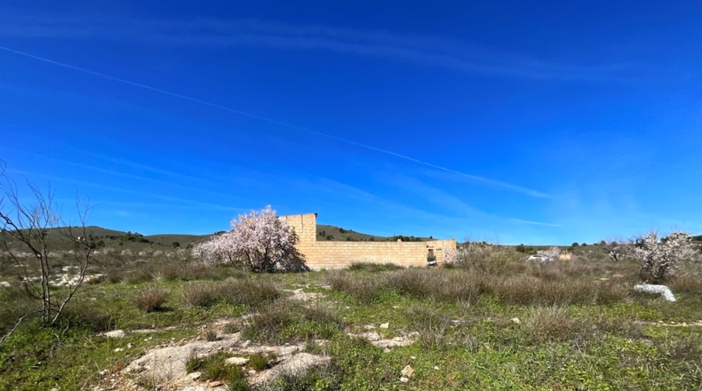 Granada - Murchas - 49000m2