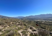 Non-developable land for sale in Pinos del Valle ref: TR396111 photo