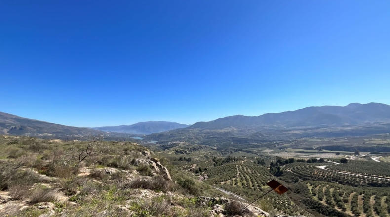 Granada - Murchas - 49000m2