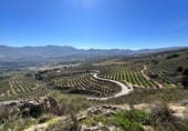 Non-developable land for sale in Pinos del Valle ref: TR396111 photo