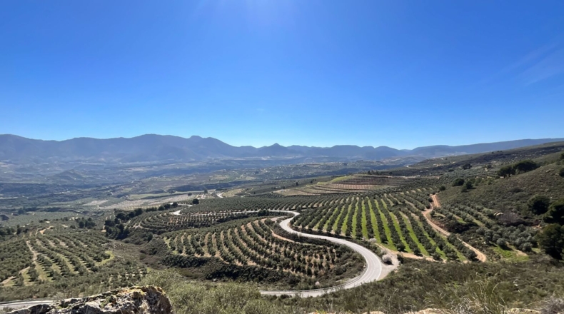 Granada - Murchas - 49000m2