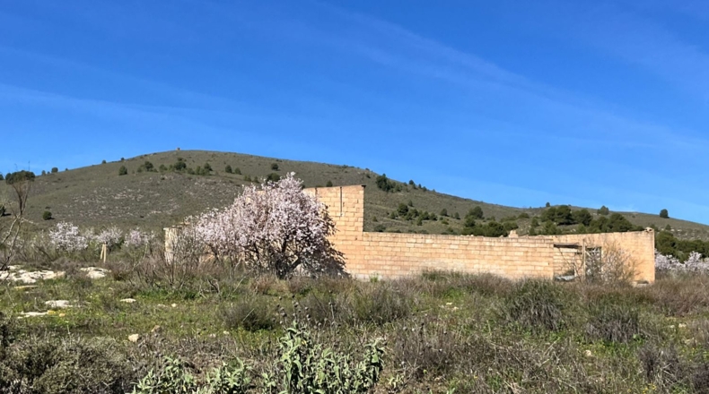 Granada - Murchas - 49000m2