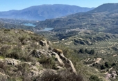 Non-developable land for sale in Pinos del Valle ref: TR396111 photo