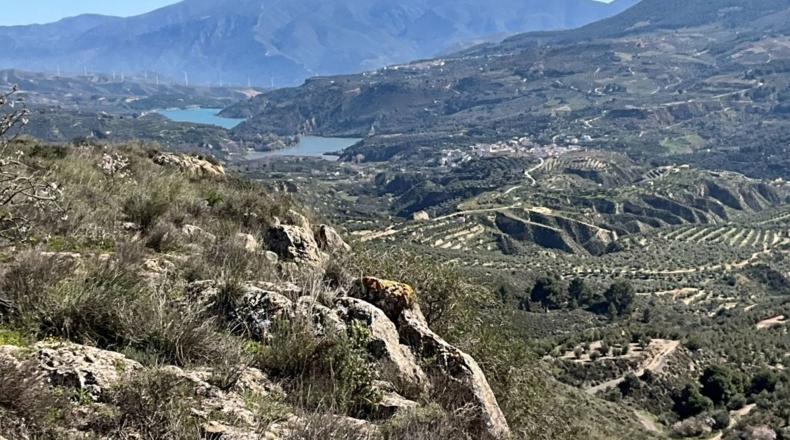 Granada - Murchas - 49000m2