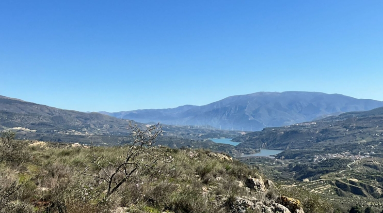 Granada - Murchas - 49000m2