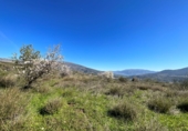 Non-developable land for sale in Pinos del Valle ref: TR396111 photo