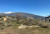Non-developable land for sale in Pinos del Valle ref: TR396111 photo