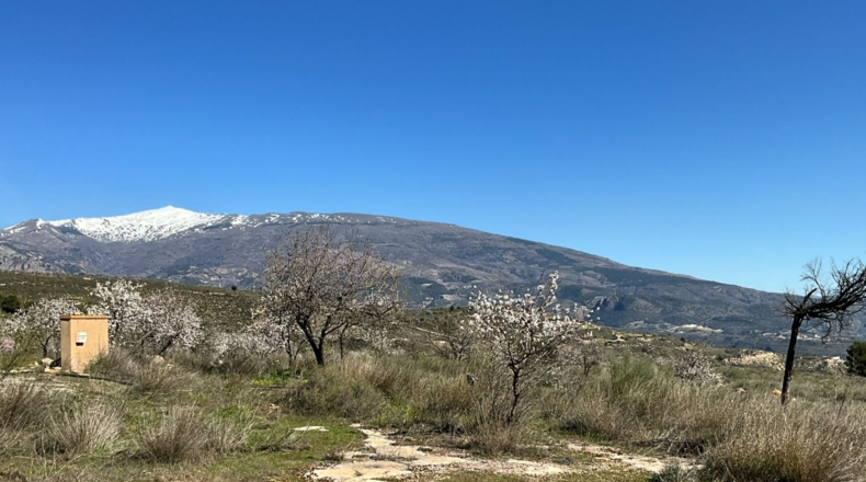 Granada - Murchas - 49000m2