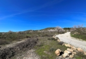Non-developable land for sale in Pinos del Valle ref: TR396111 photo