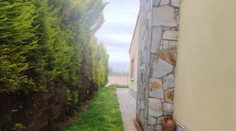 Valladolid - San Miguel del Pino - 259m2