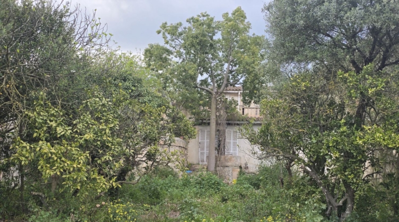 Balearic Islands - Montuïri - 20839m2