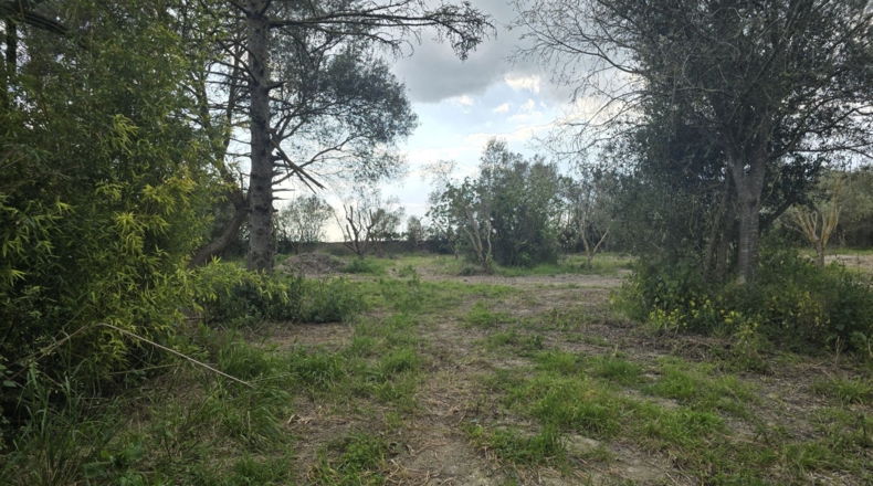 Balearic Islands - Montuïri - 20839m2