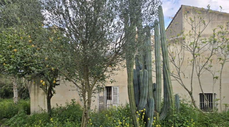 Balearic Islands - Montuïri - 20839m2