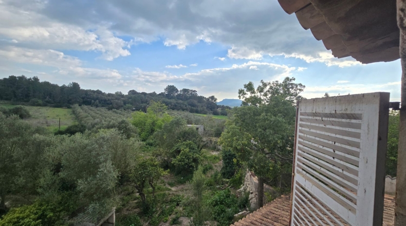 Balearic Islands - Montuïri - 20839m2
