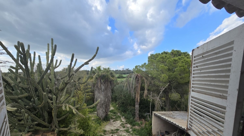 Balearic Islands - Montuïri - 20839m2