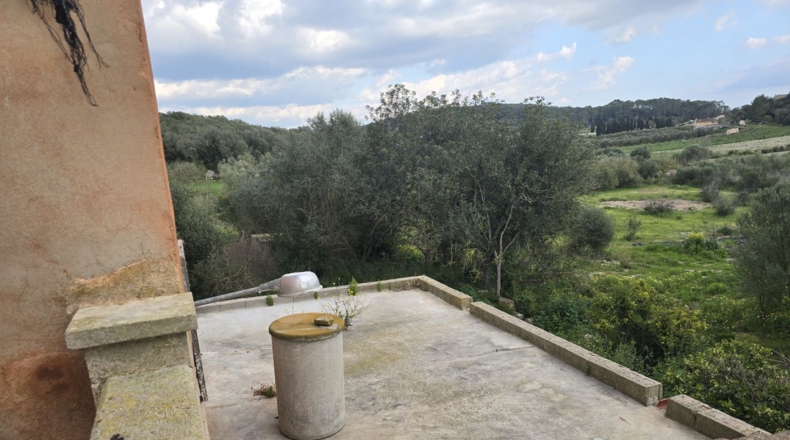 Balearic Islands - Montuïri - 20839m2