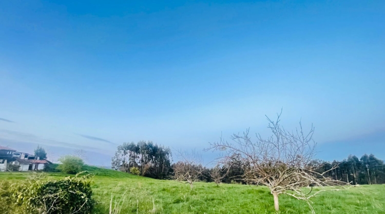 Asturias - Villaviciosa - 9800m2