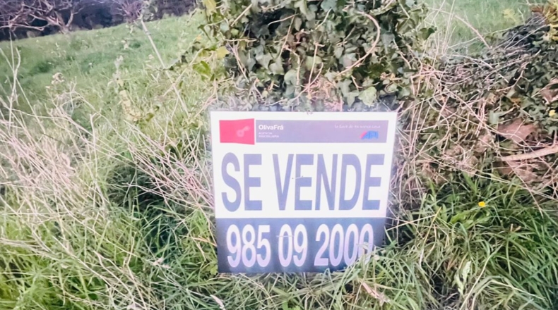 Asturias - Villaviciosa - 9800m2