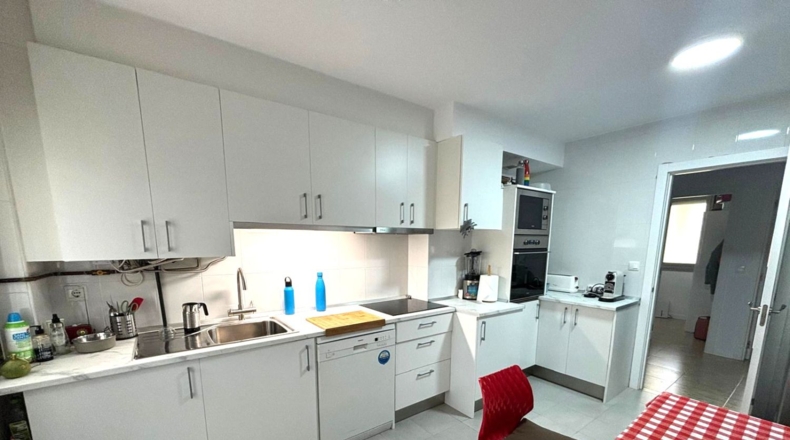 Cantabria - Hazas de Cesto - 520m2